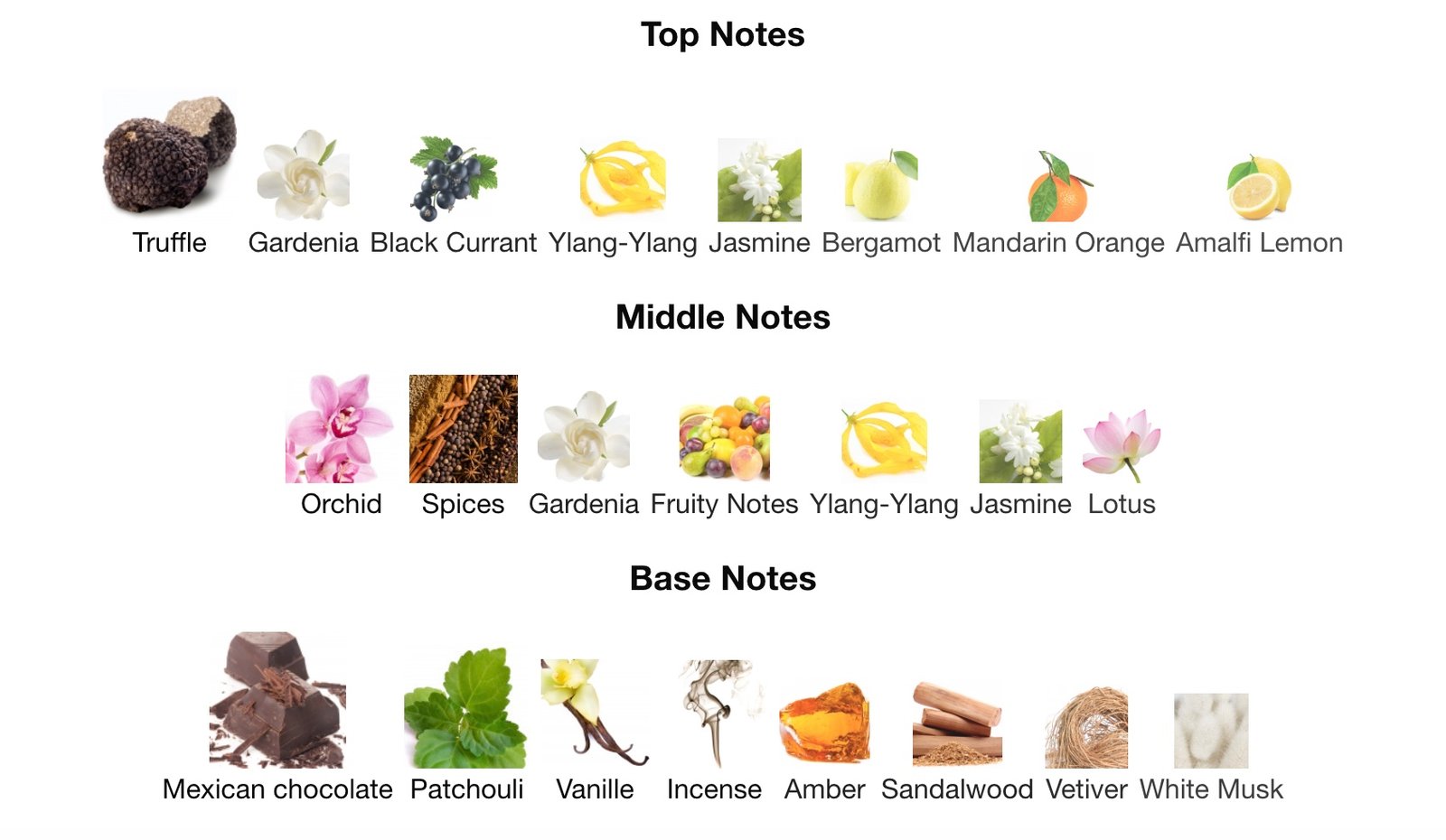 TomFord Black Orchid POSH Fragrance